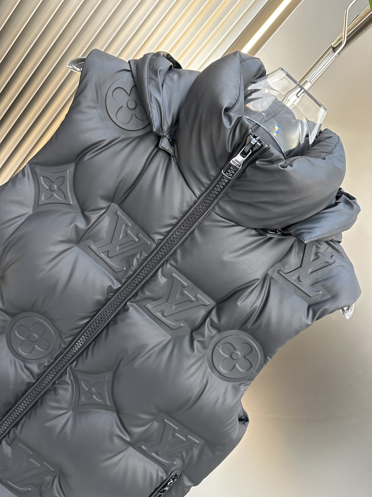 Louis Vuitton Down Jackets